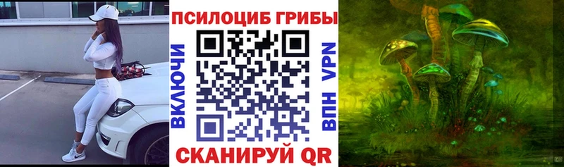площадка какой сайт  Пикалёво  ОМГ ОМГ tor  Галлюциногенные грибы мухоморы  купить наркотик 